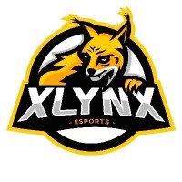 XLYNX Esports Club logo - Similar company to Michollo