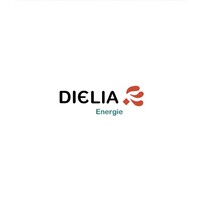 DIELIA ENERGIE logo - Similar company to Djelia