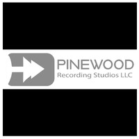 Pinewood Recording Studios LLC logo - Similar company to Sede Creative Production Studio