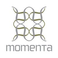 Momenta Group LLC logo - Similar company to Veteran Ceo Magazine (Vceo)