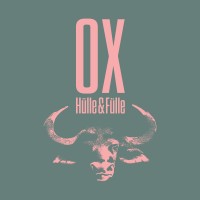 OX Hülle & Fülle AG logo - Similar company to Wunderwerk Gmbh