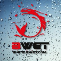 BWET Swimwear logo - Similar company to Allsisters Responsible Swimwear