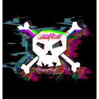 LuckyPirate DroneworX logo - Similar company to Livetech - Digital Marketing