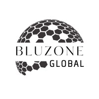 Bluzone Global logo - Similar company to Afyonkarahisar