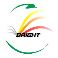 Bright logo - Similar company to Ekramy Motors