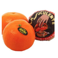 SANCHO FRUITS SARL logo - Similar company to Frutéate