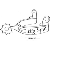 Big Spur Financial logo - Similar company to The Cfo Solution Llc