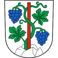 Gemeinde Rebstein logo - Similar company to Gemeinde Waldkirch