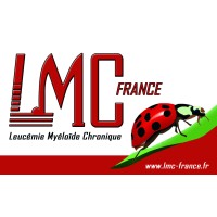 LMC FRANCE logo - Similar company to Cml Advocates Network