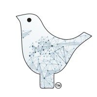 BrandTransilvania logo - Similar company to Quantum Alchemy Group