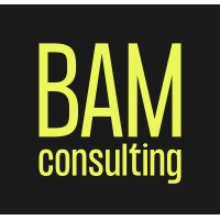 BAM Consulting logo - Similar company to Waw! Olas Creativas