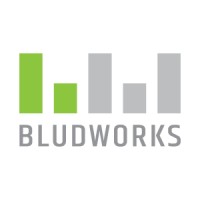 Bludworks logo - Similar company to Python Academy