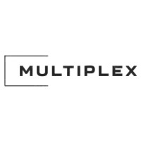 MultiPlex logo - Similar company to El-B Group S.A.R.L.