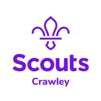 Crawley District Scouts logo - Similar company to Netball Development Trust