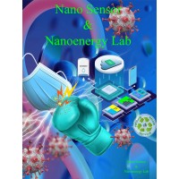 Nanosensors and Nanoenergy Lab logo - Similar company to Blackfox Embedded Solutions