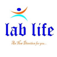 LAB LIFE WORKS logo - Similar company to Csa4Lab