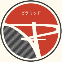 Pyramid Optimized Design logo - Similar company to Datapro International