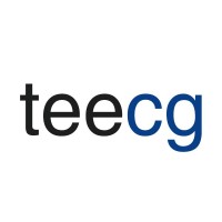 Tee Consulting Group logo - Similar company to Valuing Ip