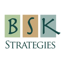 BSK Strategies logo - Similar company to Video On Easy Mode