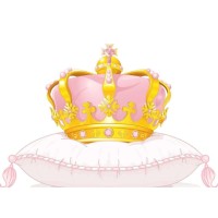 Queenprolashes logo - Similar company to T-Dance