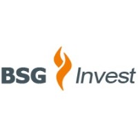 BSG Invest GmbH logo - Similar company to L&M Gruppe