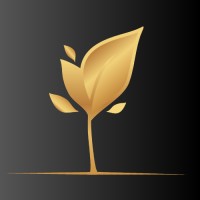 Aspen Films logo - Similar company to Studio D