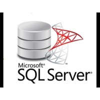 SQL Server Support Services logo - Similar company to Ms Sql Dba Genesis
