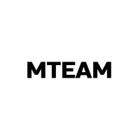 MTEAM logo - Similar company to Alb Logistics