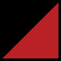 DeepRapid AI logo - Similar company to Digisquid