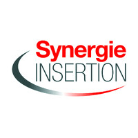 SYNERGIE INSERTION EPINAL logo - Similar company to Valo Tti