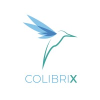 Colibrix logo - Similar company to Terasystem, Inc.