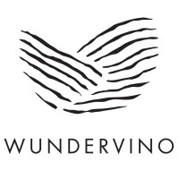 wundervino logo - Similar company to Medizincampus Davos