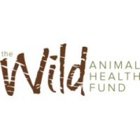 Wild Animal Health Fund logo - Similar company to J.A.C.K. - Jeunes Animaux Confisqués Au Katanga
