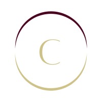 Connectio Agency logo - Similar company to Connectio Digital