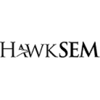 HawkSEM logo - Similar company to Wit Digital