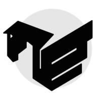 Pegasus 19 Consulting logo - Similar company to Emerytus Advisors