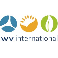WV International logo - Similar company to Dvoper Ltd.
