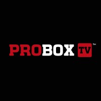 ProBox TV logo - Similar company to Infinity Rfid Inc.