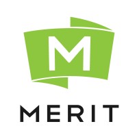 Merit logo - Similar company to Vivid Surfaces Llc