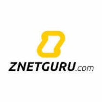 znetguru.com logo - Similar company to Softnova - Software Empresarial E Sistemas Lda