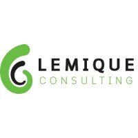 Lemique Consulting logo - Similar company to Eva Financial Solutions