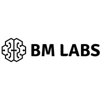 BM SEMI logo - Similar company to Chipfoundry