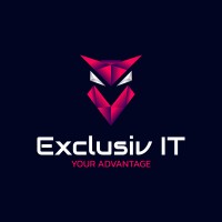 Exclusiv IT eU logo - Similar company to Priglinger Holding Gmbh & Co. Kg