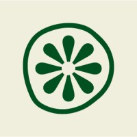 Curious Orange logo - Similar company to Raybeam/Dept®
