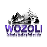Wozoli Contractors logo - Similar company to N-Frasys Pvt Ltd