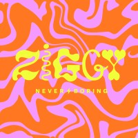 ZIGGY logo - Similar company to Cerveja Amadeus