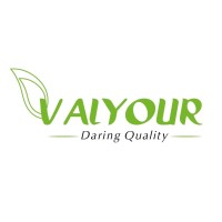 VALYOUR logo - Similar company to Ecomacmaroc