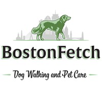 Boston Fetch