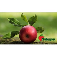 Naturpac - Coopérative pomicole du lac des Deux-Montagnes logo - Similar company to Naturpac - Eco Packaging For Fresh Produce Industry