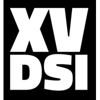 LE XV DSI logo - Similar company to Institut G9+